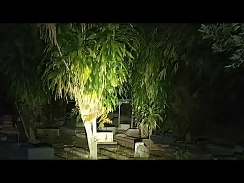 ADA NENEK BONGOK DISINI!!!