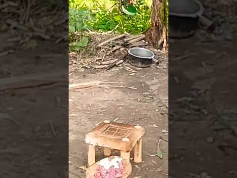 how we prepare camel meat for lunch | Homesteading | Village Cooking Channel #viral #shorts