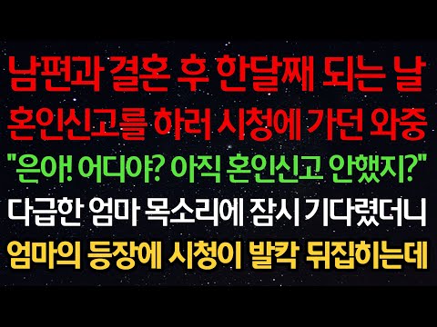 실화사연-남편과 결혼 후 한달째 되는 날 혼인신고를 하러 시청에 가던중 “은아! 어디야? 아직 혼인신고 안했지?” 다급한 엄마 목소리에 잠시 기다렸더니 시청이 발칵 뒤집히는데