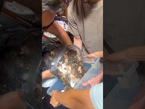 Savings from childhood till now Part-1 #shorts