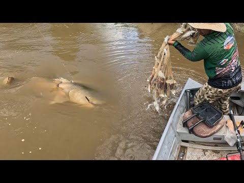 Amigos de la Pesca capitulo 17:  Pico un bagre de 70 kilos en una competencia de pesca por equipos