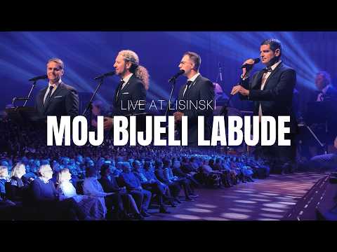 Moj bijeli labude | 4 Tenora