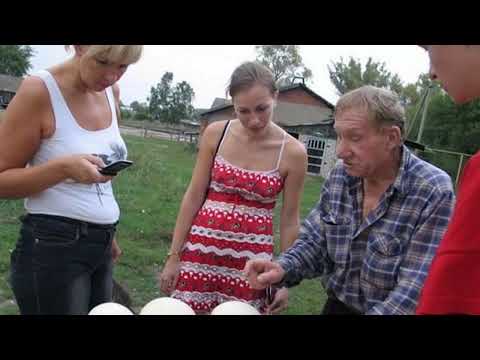 Найкращі яйця у світі