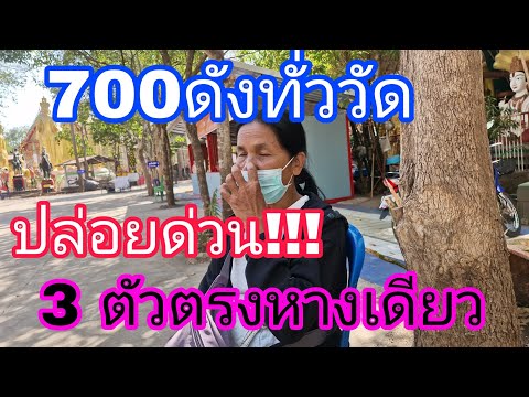 ปล่อยด่วนแม่เพรชเตรียมอั้นห้ามพลาด16/2/68