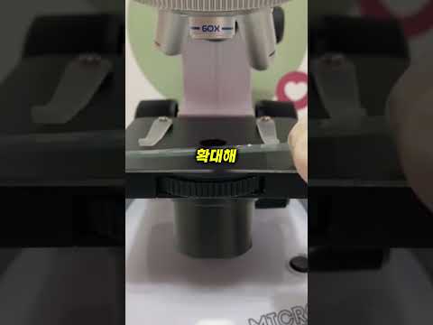 개랑 고양이랑 차이가…ㄷㄷ