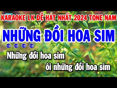 Karaoke Liên Khúc Tone Nam Nhạc Sống Dễ Hát Nhất 2024 | Những Đồi Hoa Sim – Chỉ Có Bạn Bè Thôi