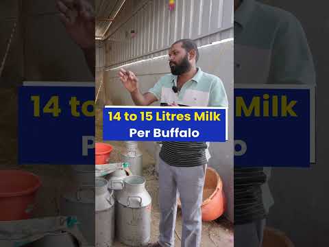 एक महीने की कमाई 22,00,000 रु😱💰करोड़ों कमाने वाला Dairy farm💯🔥 #indianfarmer #shorts