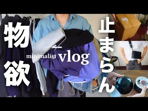 【ミニマリスト卒業!?】物欲が止まらない30代独身ミニマリストの日常【VLOG】