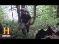 Understanding Bear Encounters in the Woods