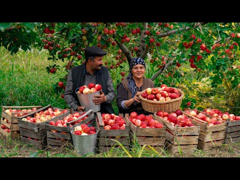 The Apple Jam in Azerbaijan: Discover The Real Preparation