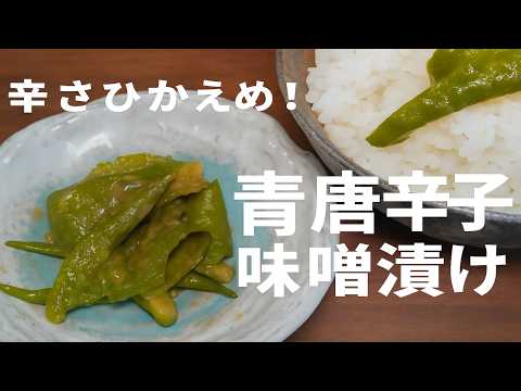辛さ控えめでも旨い！青唐辛子味噌漬けの簡単レシピ【ご飯のお供・作り置き】