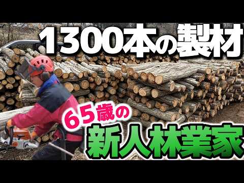 【人生100年時代】~第35話~ 65歳で林業の道へ!!1300本の製材に挑む新米林業家の「第2の人生」に密着してみたら…!【山主】