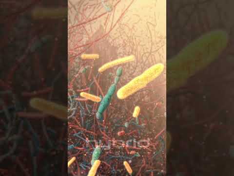 Part 2: Outer mucus layer | gut microbiome | microbiome animation | #microbiome #outermucuslayer