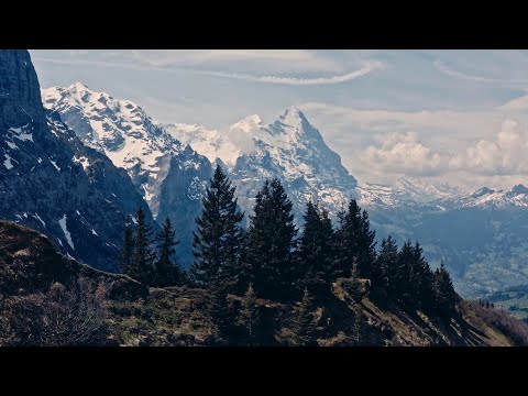 Geald&#253;r - Middangaerd (Middle-Earth) Official Music Video