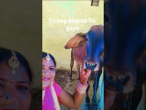 #comedy #funny #funnycomedy #maa