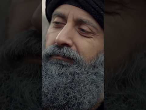 Sultan Süleyman'ın En Sevdiği Ağaç #tarih #shorts