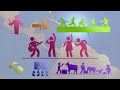 Preferencias y Actividades