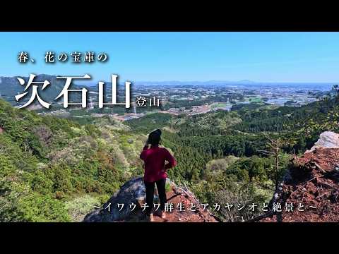 【イワウチワ群生地】花の宝庫の次石山登山【日光】