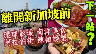再見了新加坡，下一站是？謝謝〜我會想念你的,最後幾天想做的事,南洋料理, 環球影城, 哈芝酒吧街, 辣椒螃蟹