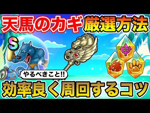 【ドラクエウォーク】天馬のカギ厳選方法と効率良く周回するコツ！ 夏イベントで絶対やるべきこと！【DQW】