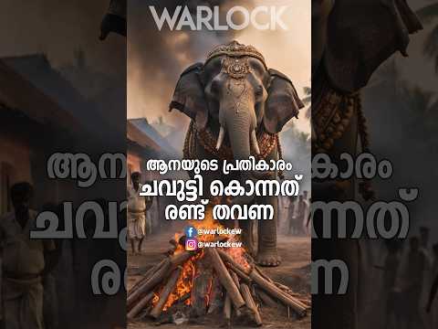 ശവമടക്കിന് വരെ പോയി ചവുട്ടിയരച്ച ആനയുടെ പ്രതികാരം 😱🙏 #shorts #shortvideo #facts