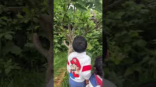 കുഞ്ഞുഞ്ഞിന്റെയും കുഞ്ഞാറ്റ യുടേയും കുഞ്ഞുക്കിളി #babybird #happybaby #