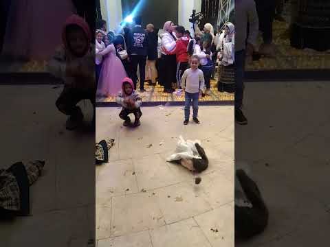 بنت بترقص عقباوى مع يوسف العالمي مين يكسب فيدو كامل جوه قناه خشو شوفوه تحدى
