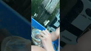 Giant 😅😅#g4outdoors #subscribemychannel #fypシ゚viral #fypyoutube #fyp