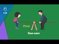 Seesaw Mechanics and Forces