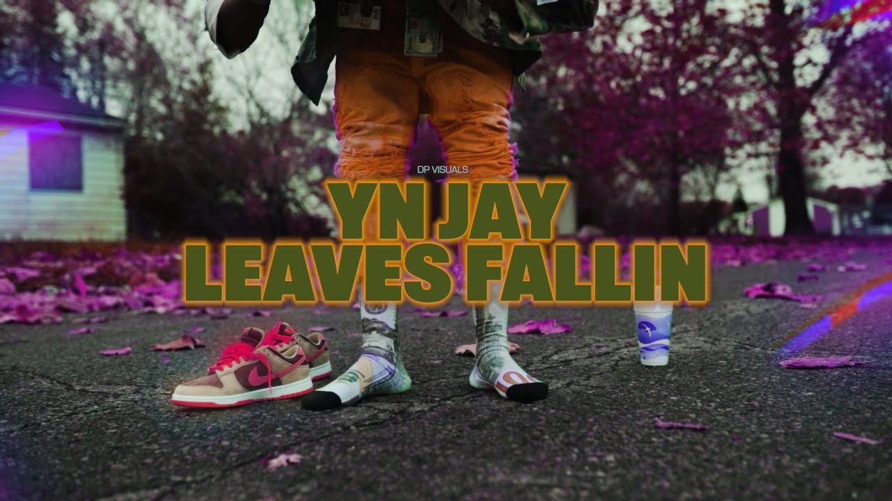 YN Jay - Leaves Fallin
