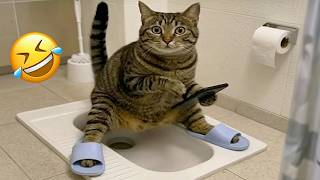 TRY NOT TO LAUGH 😂| Funniest CATS and DOGS 😹🐶 Funny Animals 2026