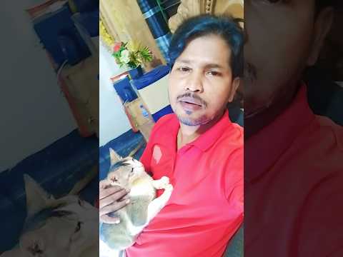 লক্ষ টাকায় ঘাট কেনা যায় #foryou #lifeisbutadream #songlove #shortvideo