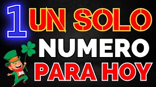UN SOLO NÚMERO PARA HOY | JOSE NUMERO RD