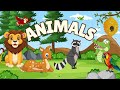 Animal Group Names and Behaviors
