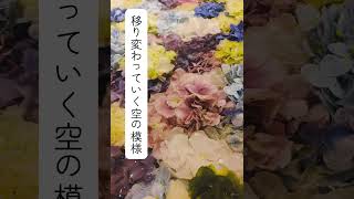 「あじさい」跳亜