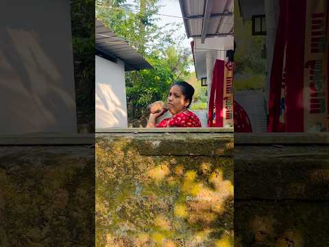 เดเดฐเตเดฑเตเดเตเดเดฟเดฒเตเด เดเตเดฃเตเดเดพเตฝ เดฎเดคเดฟเดฏเดพเดฏเดฟเดฐเตเดจเตเดจเต