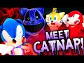 Adventures with Catnap