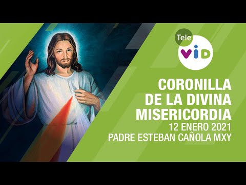 Coronilla de la Divina Misericordia 🙏 Martes 12 Enero 2021, Padre Esteban Cañola MXY – Tele VID
