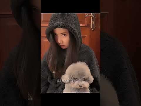 Animals Can't Imitate Humans