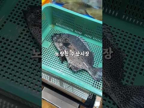 노량진수산시장 간판의 숨은 비밀