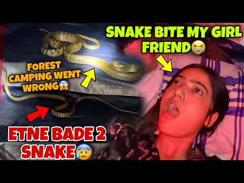 SNAKE BITE MY GIRL FRIEND😭 ETNE BADE 2 SNAKE FOREST CAMPING WENT WRONG😱