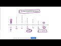 Understanding Line Plots with Fractions