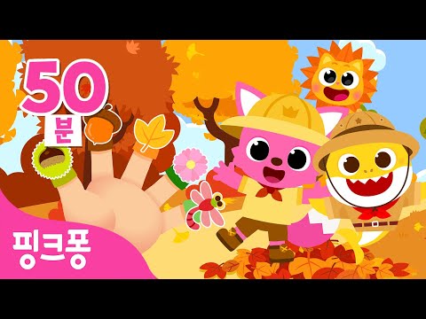 가을 동요 특집🍁소풍 갈 때 듣기 좋은 인기 동요 모음 | 가을 소풍 동요, 아기상어 정글 탐험 외 | 나들이 동요 | #여행친구 | 핑크퐁! 인기동요