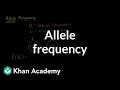 Understanding Allele Frequency
