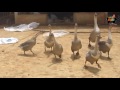 Lợi ích của việc đăng ký kênh