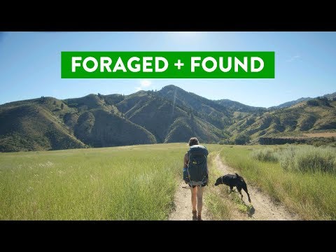 Foraged + Found | Lindsey Antram