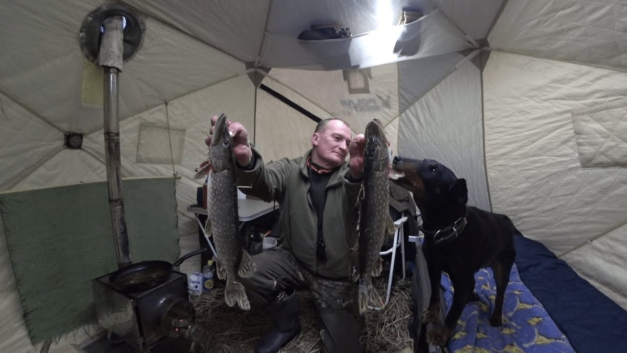 Сбылась мечта идиота! Живу в палатке на любимой реке, готовлю то что поймал.