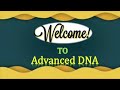 DNA Paternity Testing Analysis