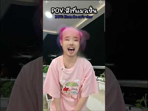 สิ่งที่เราเห็น vs สิ่งที่แมวเห็น 