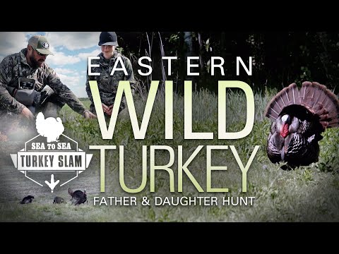 Last Chance for the Elusive Eastern Wild Turkey – Father and Daughter Hunt